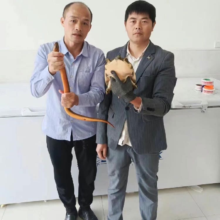 鳝太哇挖呀挖