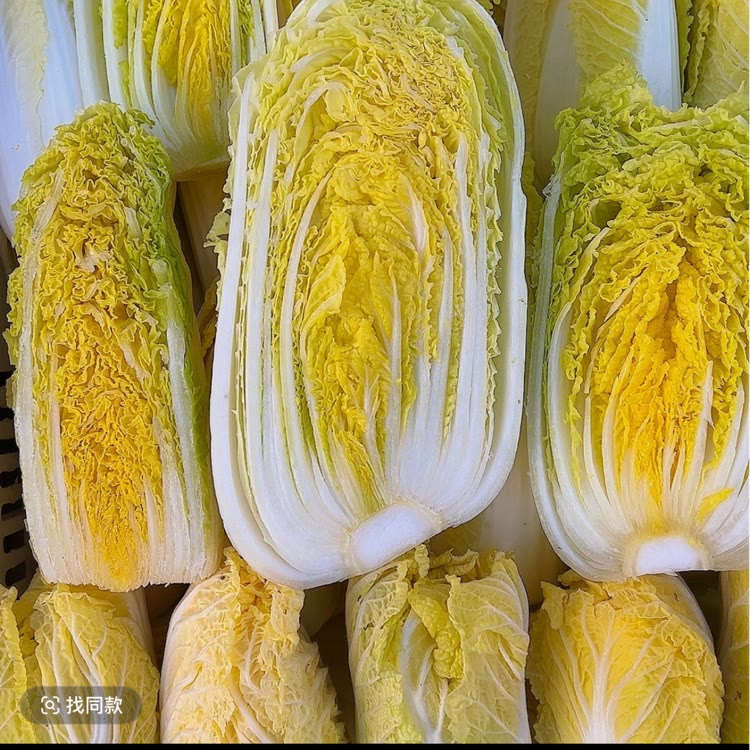 知青蔬菜优选供应链