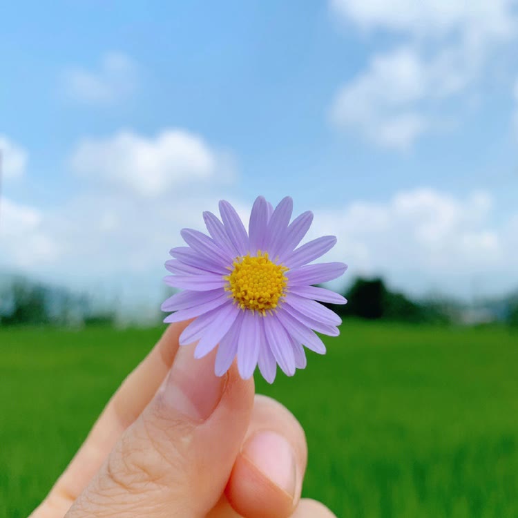 安全教育
