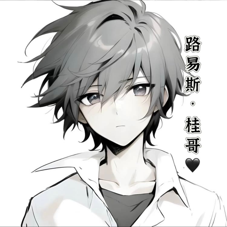 路易斯·桂哥🖤