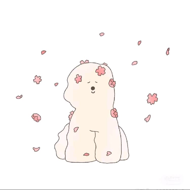 赵露思^