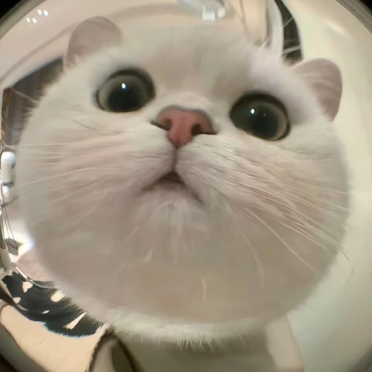 戏精的予桉