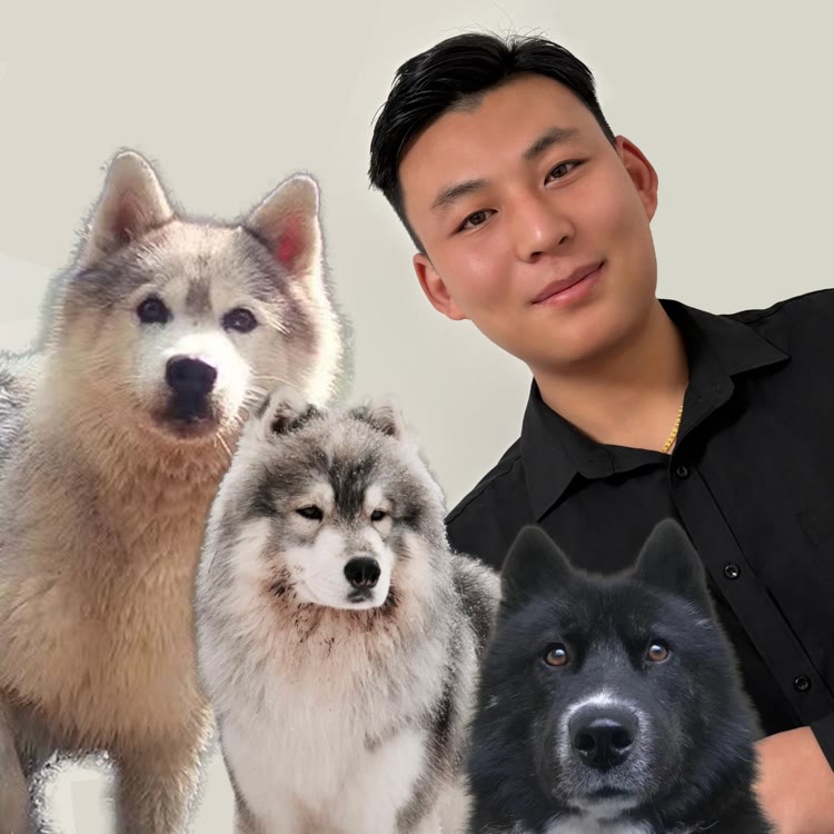 李招财