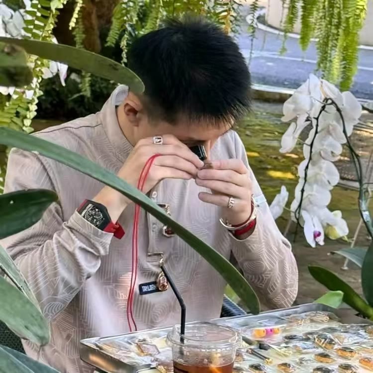 泰牌明鉴
