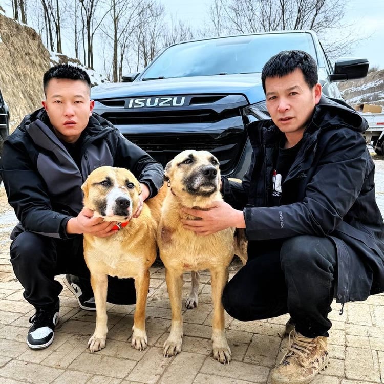 西北刀客-公益护农