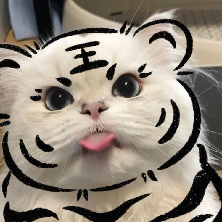 支持正能量