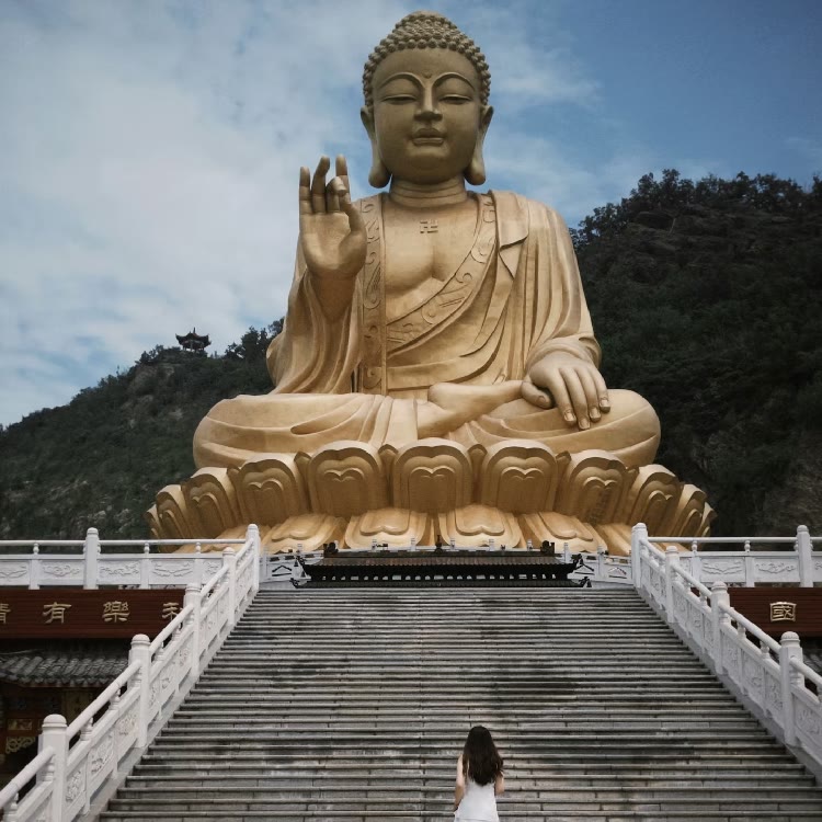 杉杉正能量