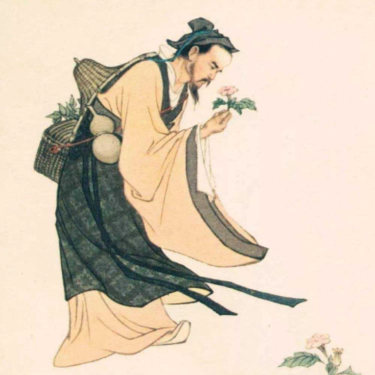 隐居老仙人