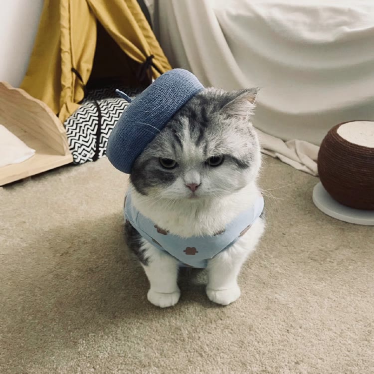 茜茜男传媒