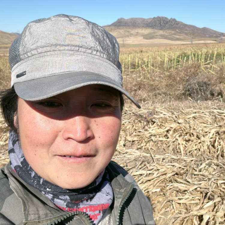 小鲍12月2号米力厨具