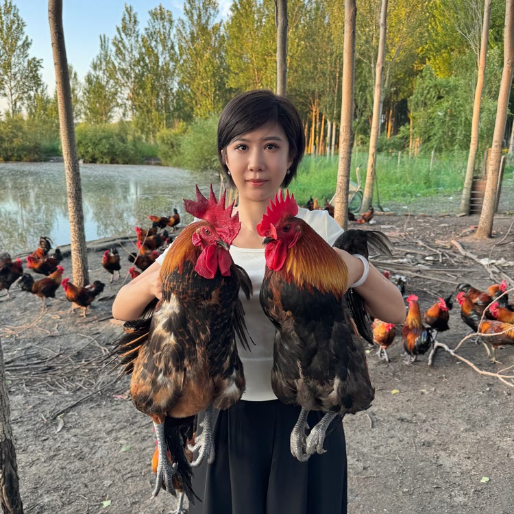 东北土鸡妹