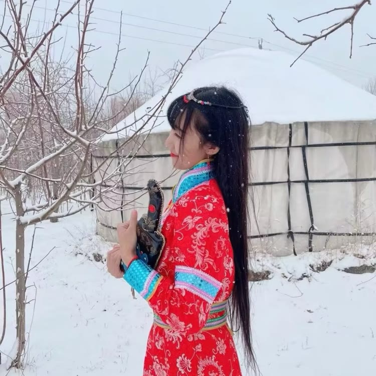 羊贵妃 t宝
