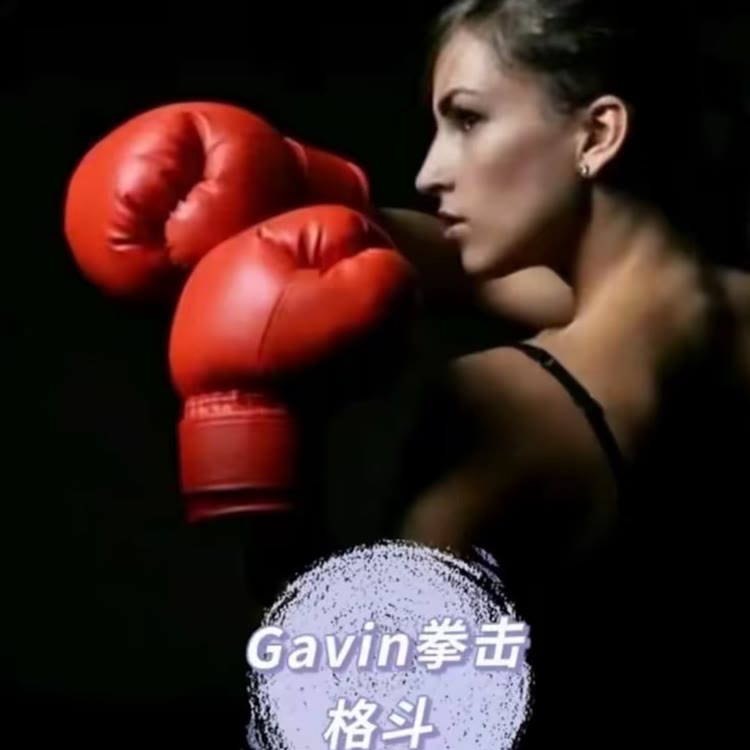Gavie拳击格斗