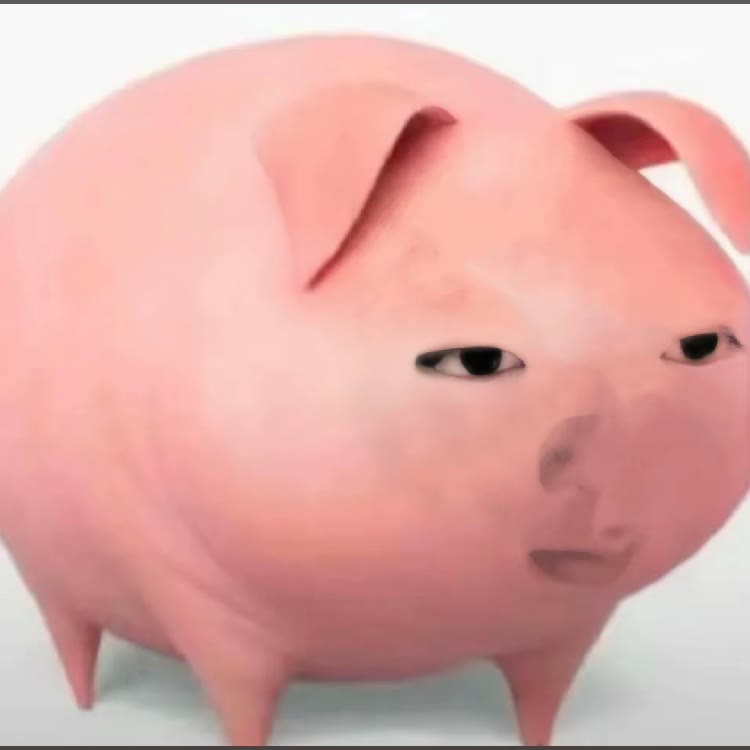 健康快乐的一头猪🐷