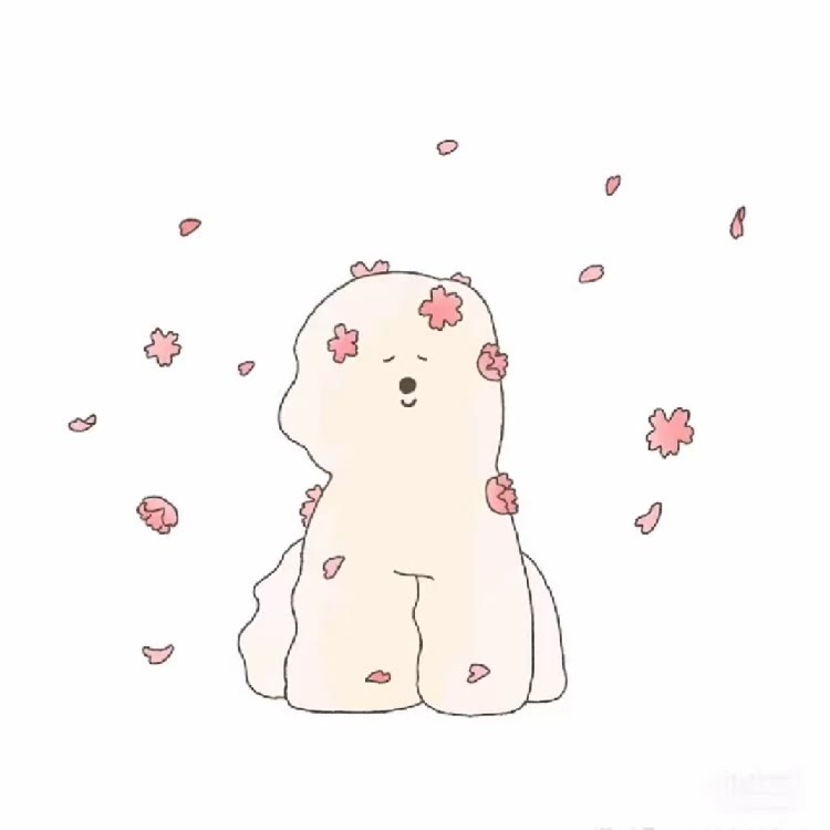 赵露思^