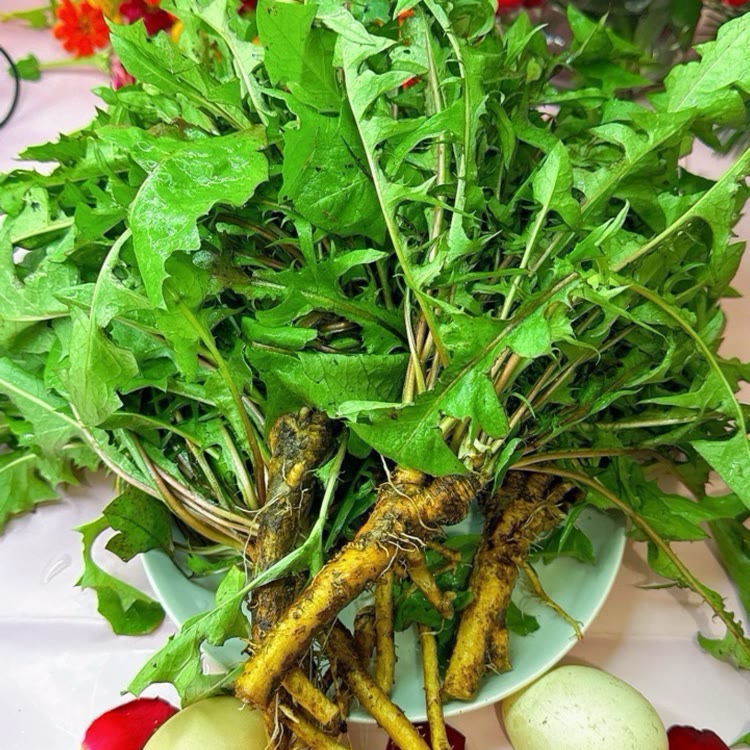 厚德正能量分享