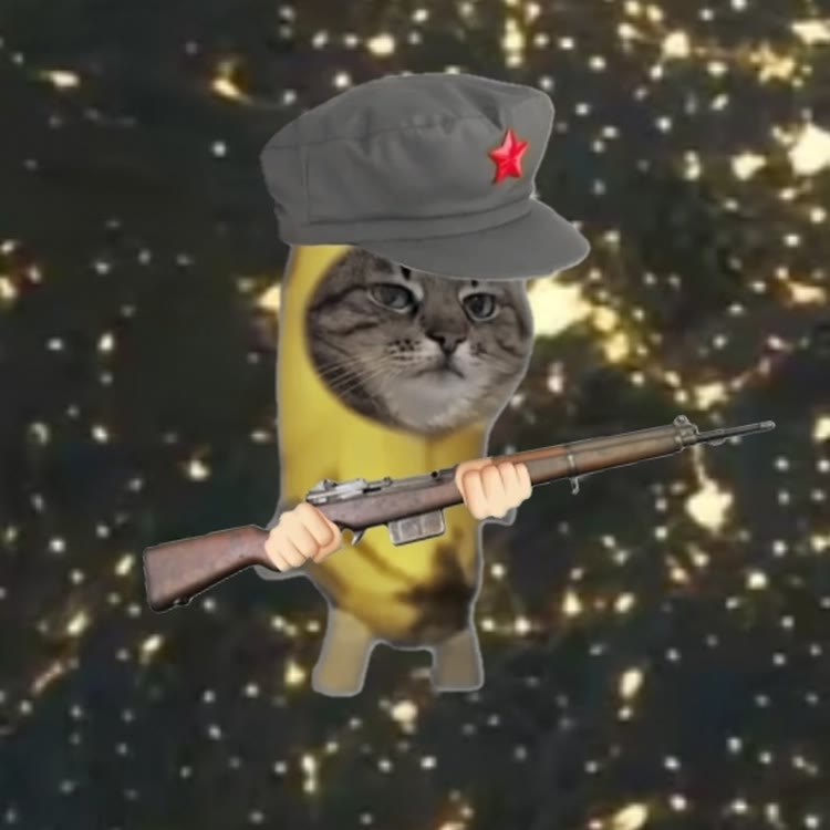 鸿涟猫meme