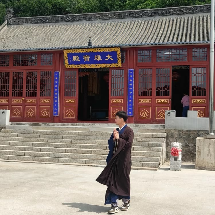 小动物灵魂救赎者