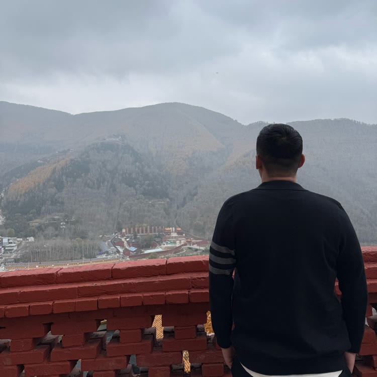 善良的吴大龙