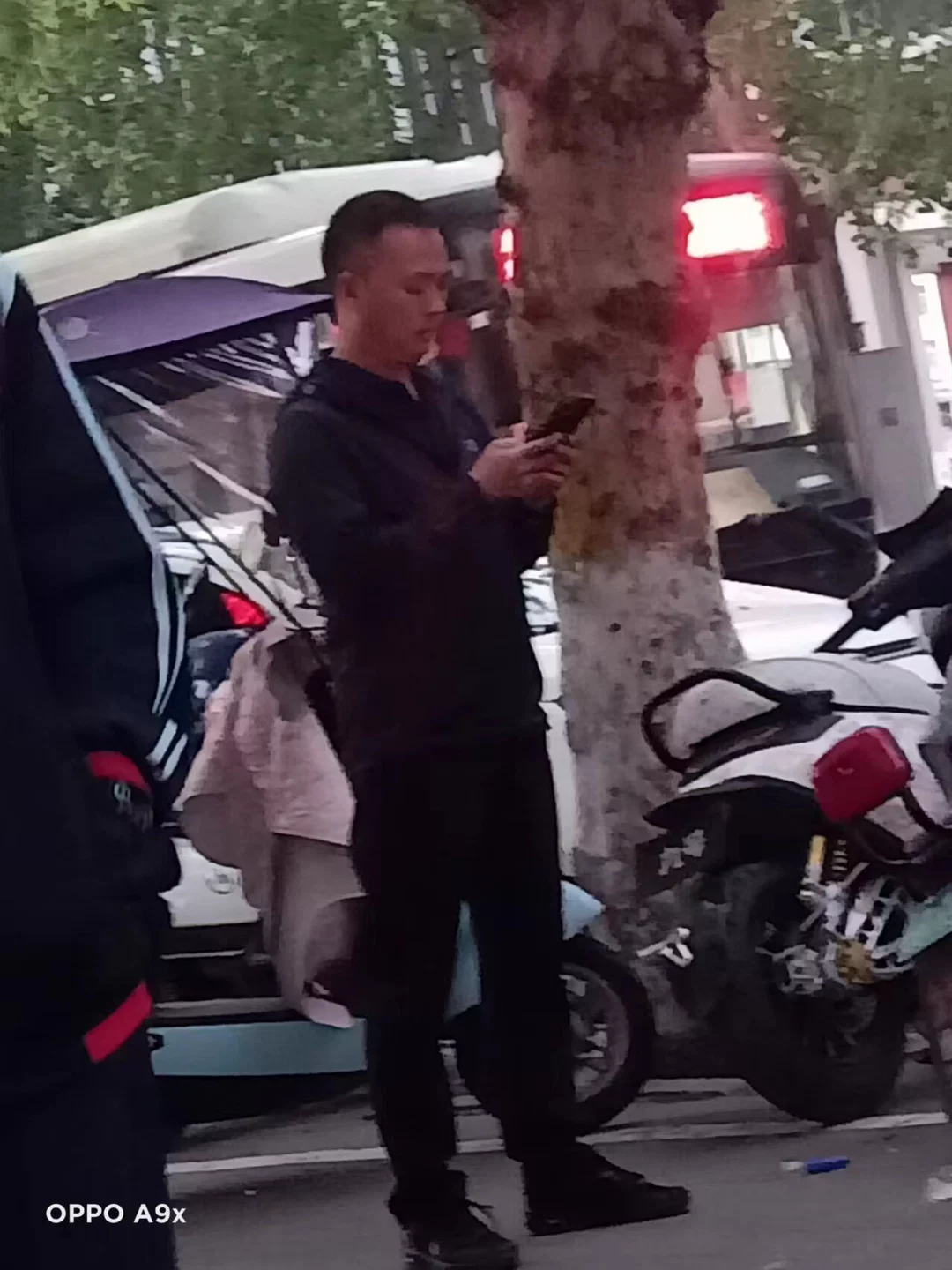 图片31