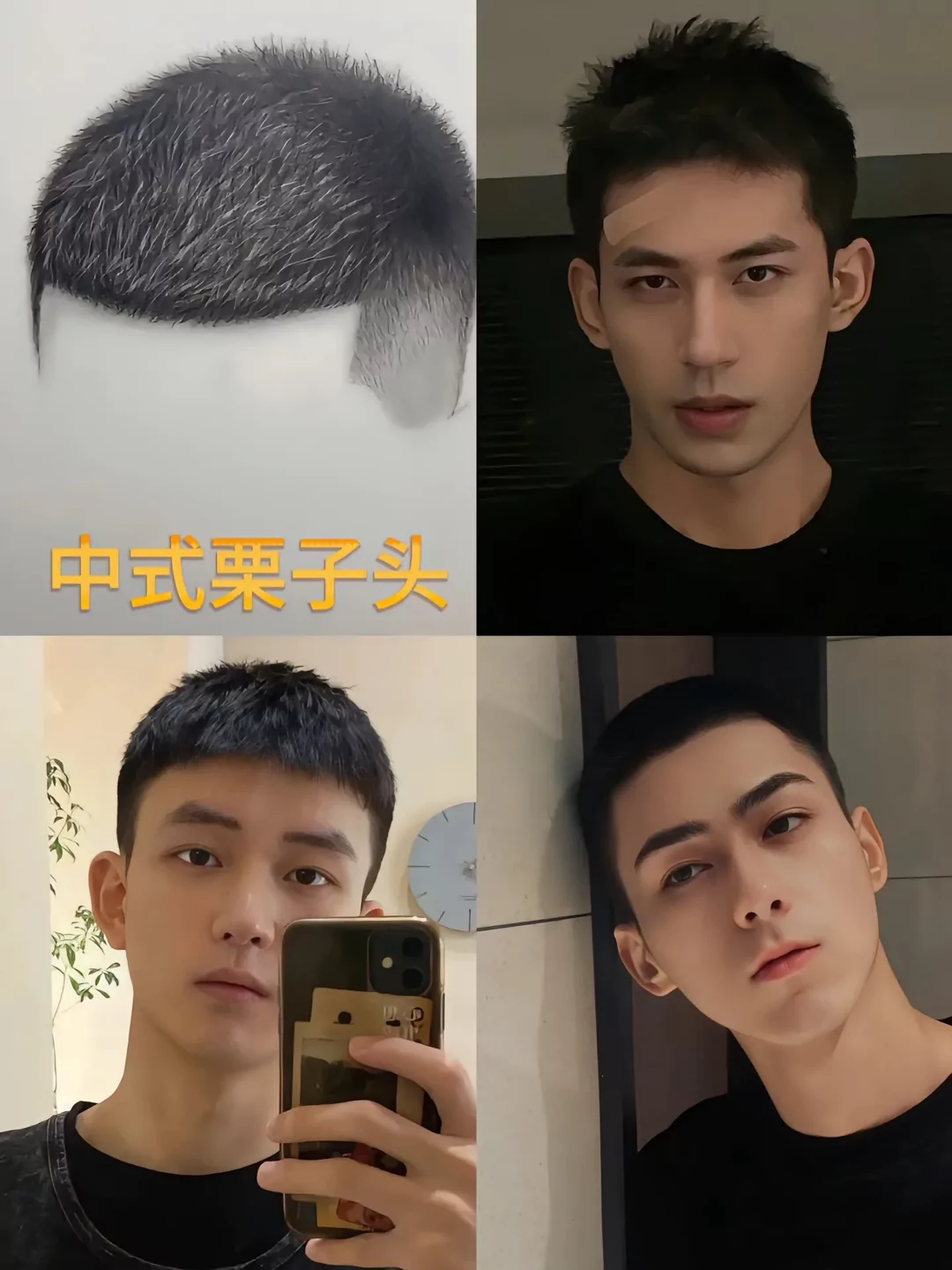 图片5