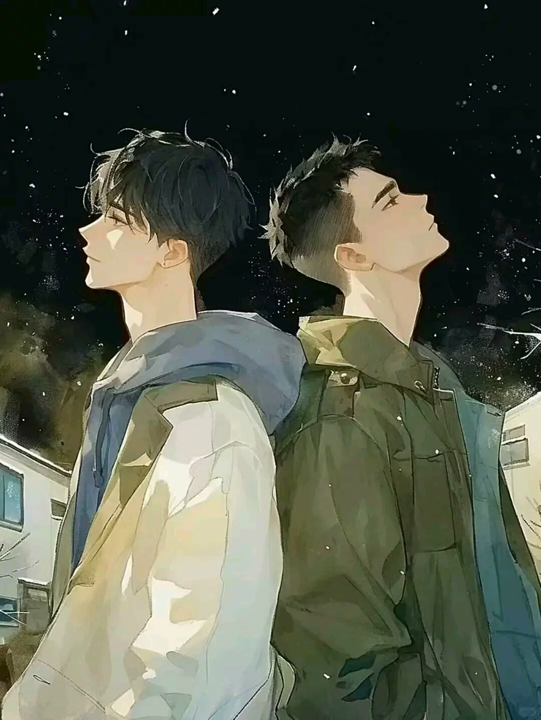 图片3