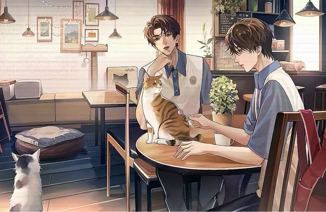 图片6