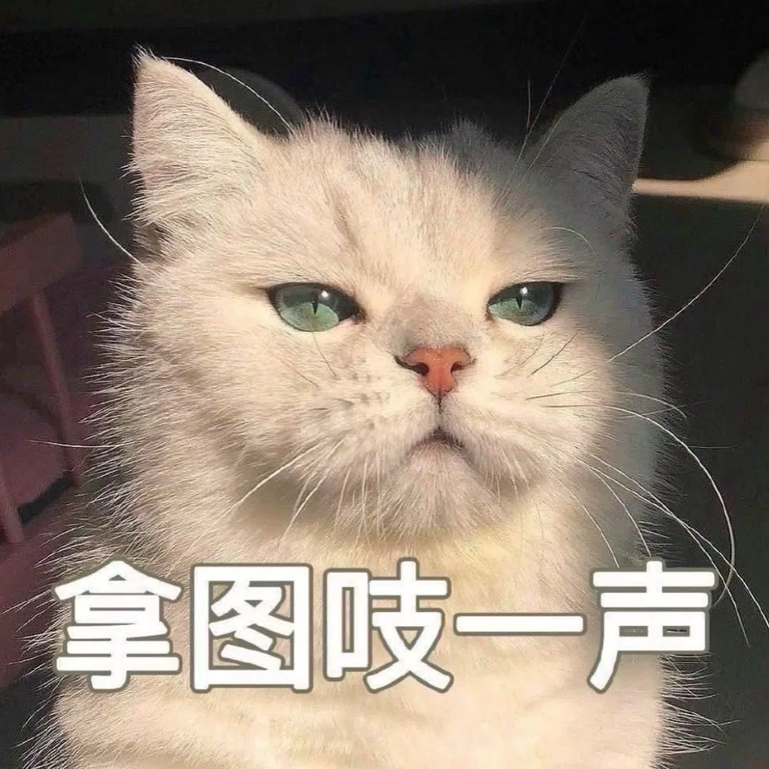 图片31