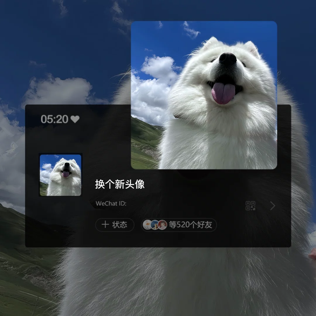 图片9