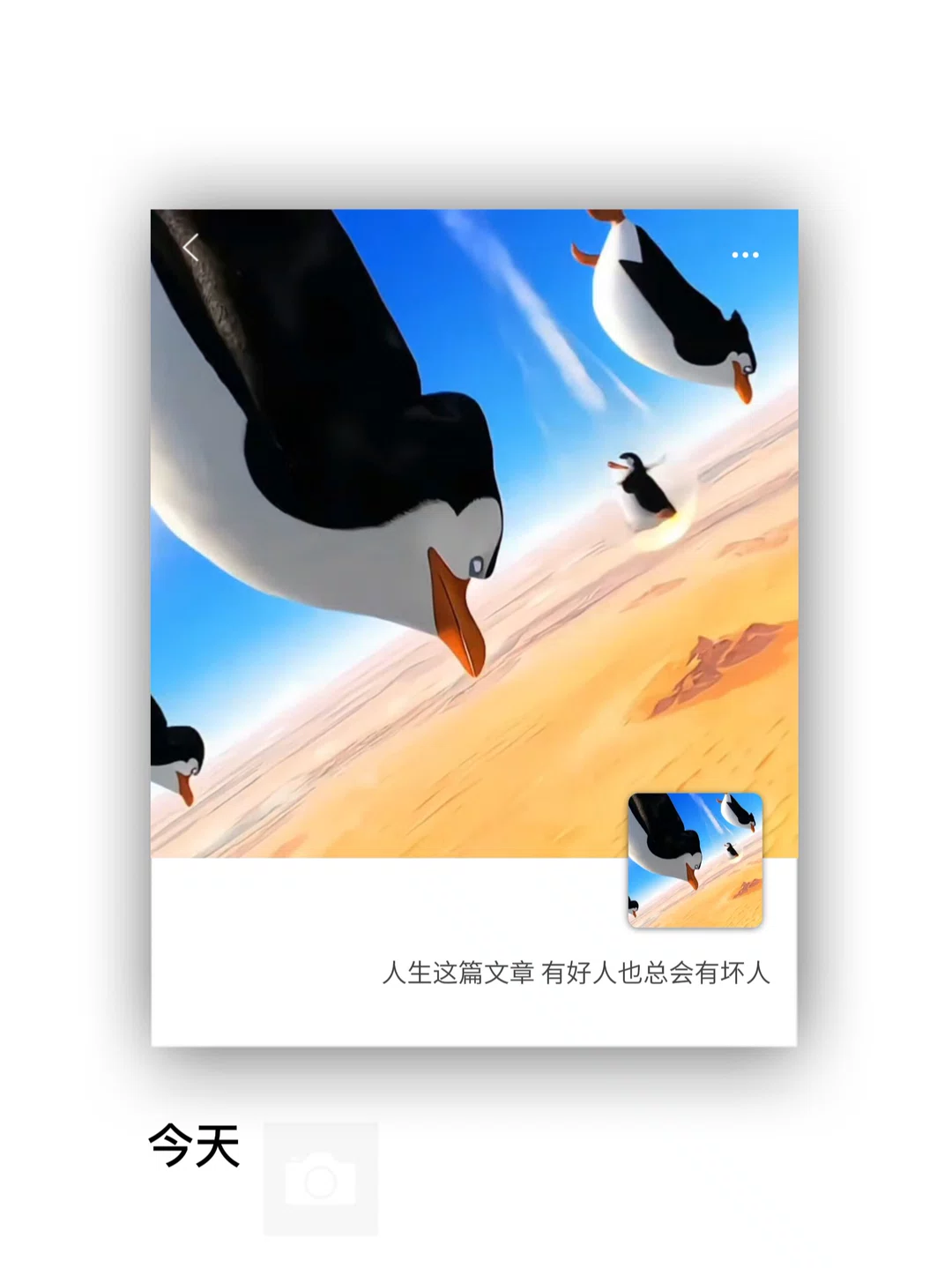 图片27