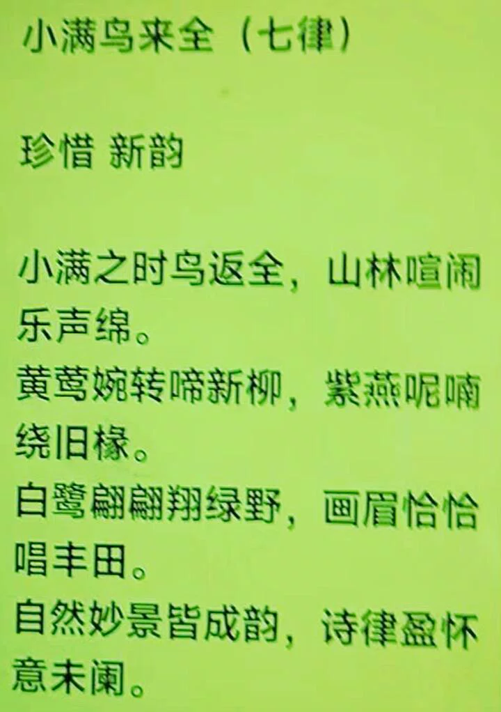 图片19