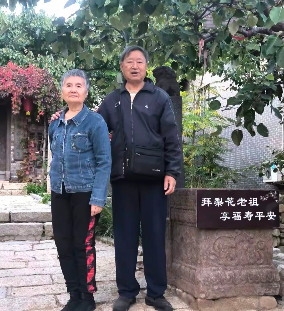图片1