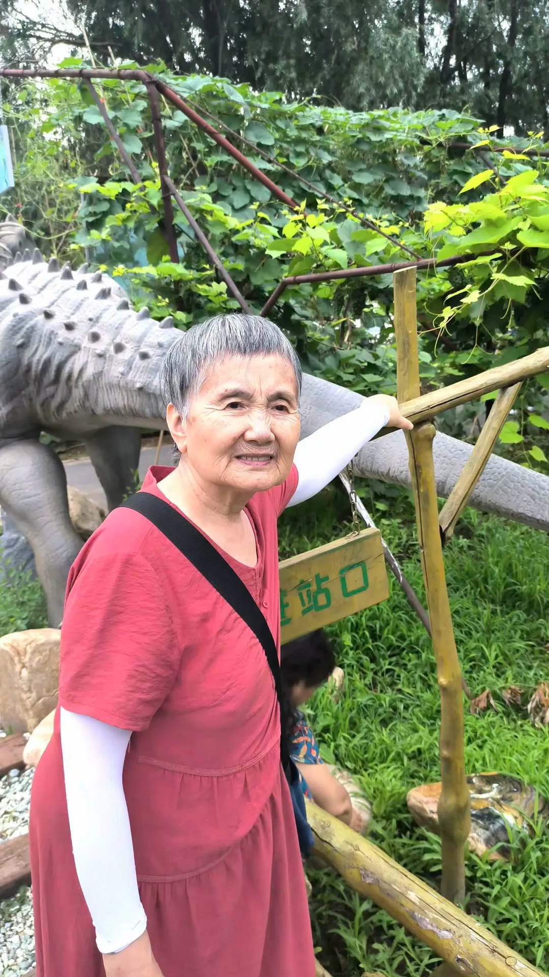 图片11