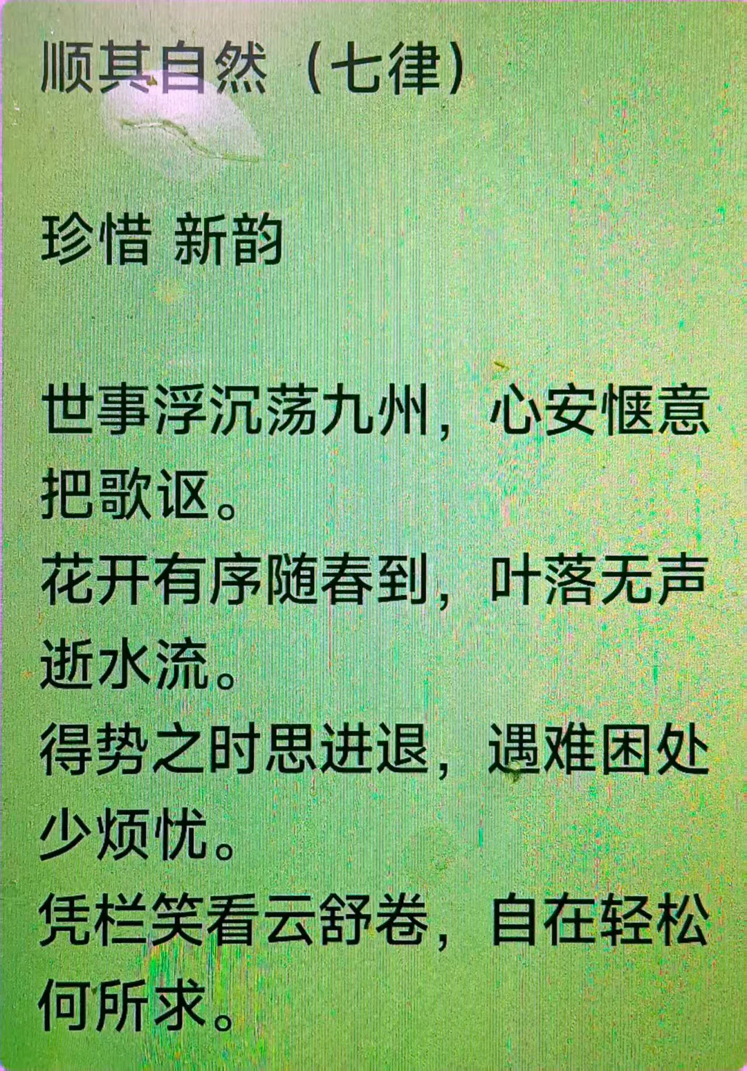 图片19