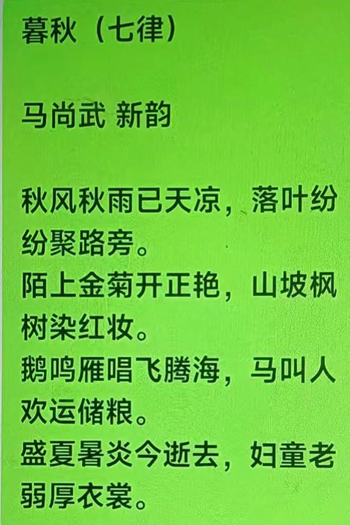 图片5