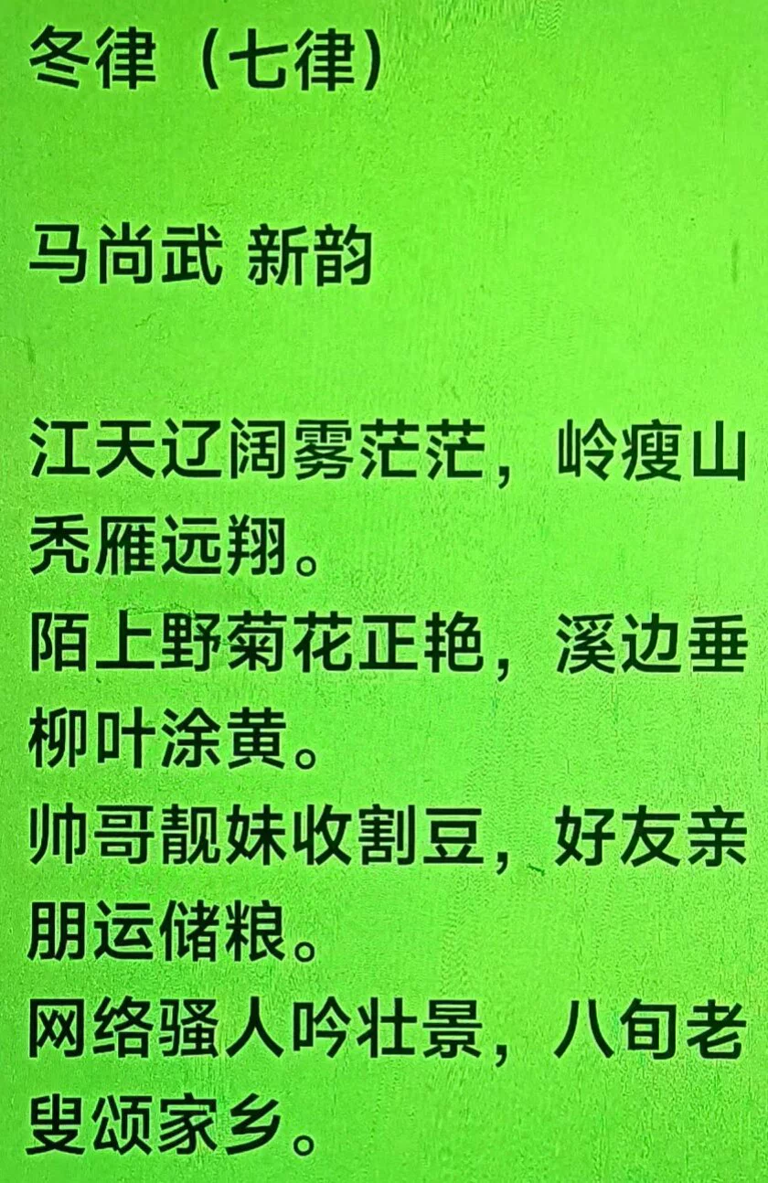 图片7