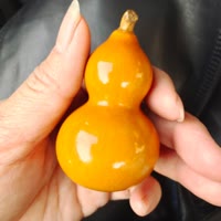135郝力申