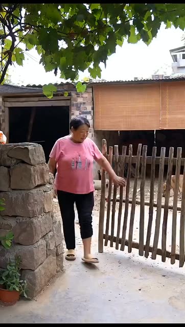 婆婆今天想吃柿子馍，高飞我俩去山上摘了一些回来，高飞说我嫁给他就是好，在我们这里吃啥都有还不用花钱 #娜娜的小日子 #我的乡村生活 #婆媳
